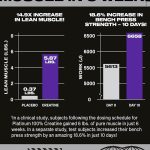 کراتین مونوهیدرات 100% پلاتینیوم میکرونایز ماسل تک - تصویر 10